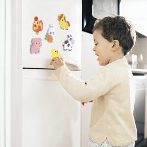 Refrigerator Magnets